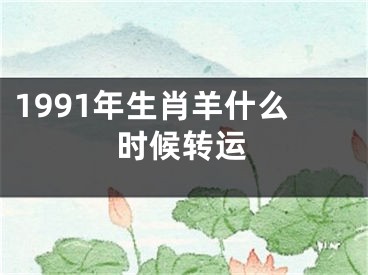 1991年生肖羊什么时候转运