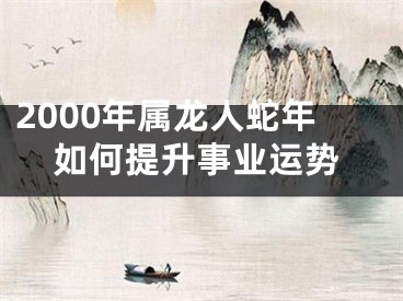 2000年属龙人蛇年如何提升事业运势