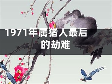 1971年属猪人最后的劫难