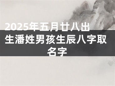 2025年五月廿八出生潘姓男孩生辰八字取名字