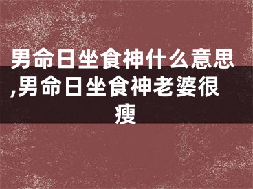 男命日坐食神什么意思,男命日坐食神老婆很瘦