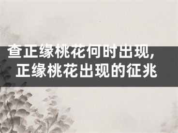 查正缘桃花何时出现,正缘桃花出现的征兆