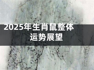 2025年生肖鼠整体运势展望