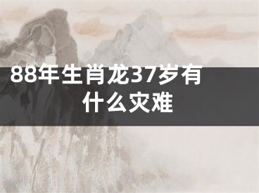 88年生肖龙37岁有什么灾难