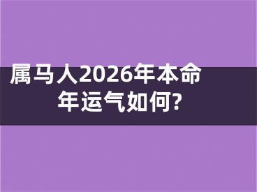 属马人2026年本命年运气如何?