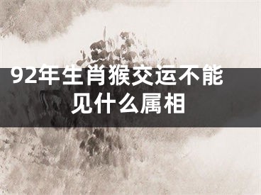 92年生肖猴交运不能见什么属相