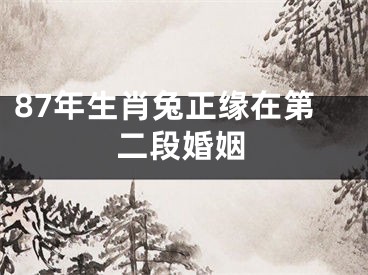 87年生肖兔正缘在第二段婚姻