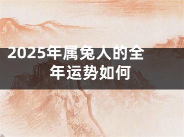 2025年属兔人的全年运势如何
