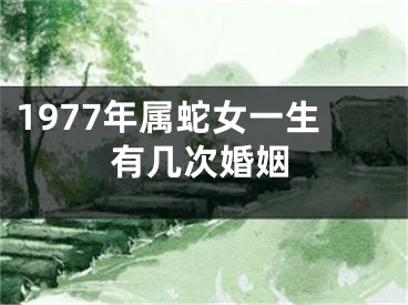 1977年属蛇女一生有几次婚姻