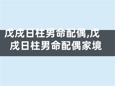 戊戌日柱男命配偶,戊戌日柱男命配偶家境