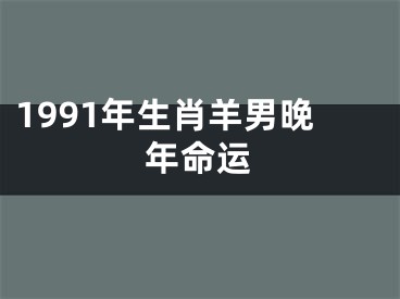 1991年生肖羊男晚年命运