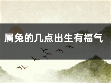 属兔的几点出生有福气