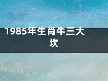 1985年生肖牛三大坎