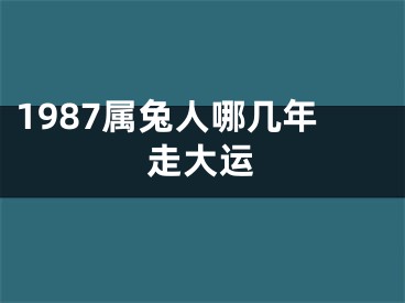1987属兔人哪几年走大运