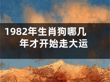 1982年生肖狗哪几年才开始走大运