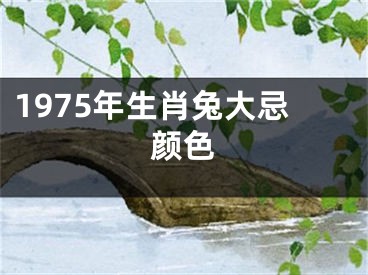 1975年生肖兔大忌颜色