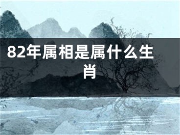 82年属相是属什么生肖