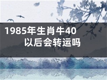 1985年生肖牛40以后会转运吗