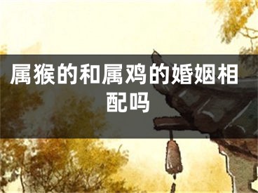 属猴的和属鸡的婚姻相配吗