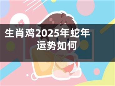 生肖鸡2025年蛇年运势如何