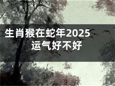 生肖猴在蛇年2025运气好不好