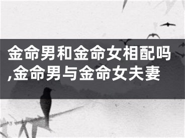 金命男和金命女相配吗,金命男与金命女夫妻