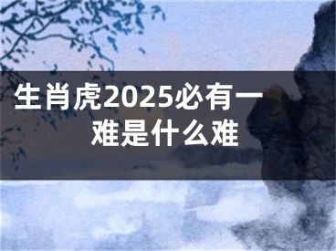 生肖虎2025必有一难是什么难