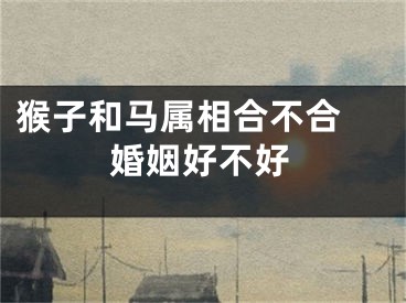猴子和马属相合不合 婚姻好不好