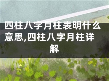 四柱八字月柱表明什么意思,四柱八字月柱详解