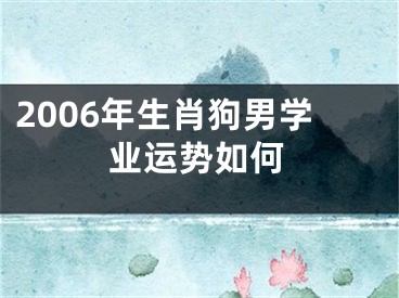 2006年生肖狗男学业运势如何