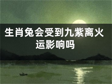 生肖兔会受到九紫离火运影响吗