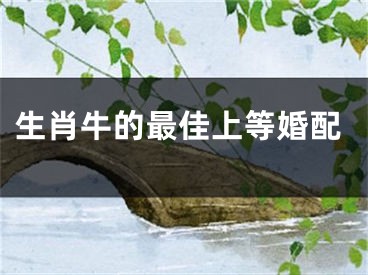 生肖牛的最佳上等婚配