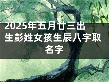 2025年五月廿三出生彭姓女孩生辰八字取名字