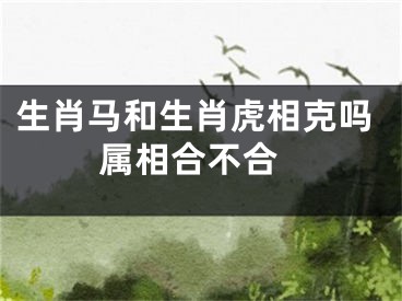 生肖马和生肖虎相克吗 属相合不合
