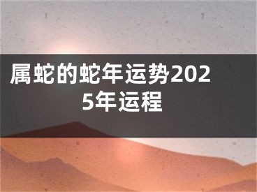 属蛇的蛇年运势2025年运程