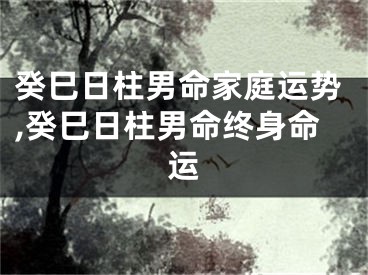 癸巳日柱男命家庭运势,癸巳日柱男命终身命运