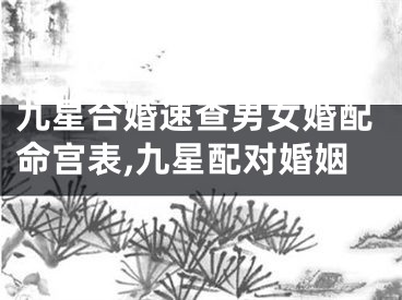 九星合婚速查男女婚配命宫表,九星配对婚姻