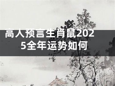 高人预言生肖鼠2025全年运势如何