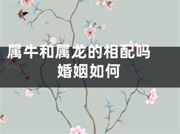 属牛和属龙的相配吗 婚姻如何