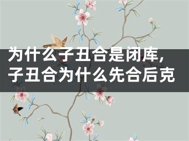 为什么子丑合是闭库,子丑合为什么先合后克