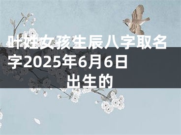 叶姓女孩生辰八字取名字2025年6月6日出生的