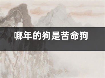 哪年的狗是苦命狗
