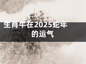 生肖牛在2025蛇年的运气