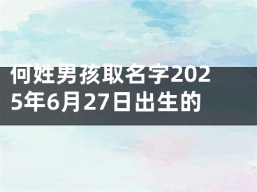 何姓男孩取名字2025年6月27日出生的