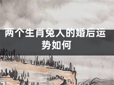 两个生肖兔人的婚后运势如何