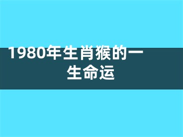 1980年生肖猴的一生命运