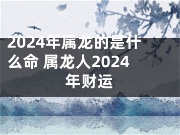 2024年属龙的是什么命 属龙人2024年财运