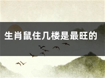 生肖鼠住几楼是最旺的