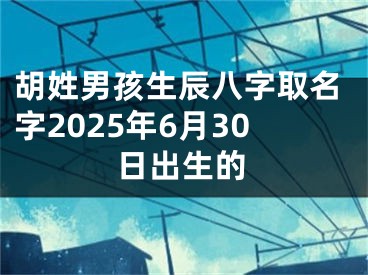胡姓男孩生辰八字取名字2025年6月30日出生的