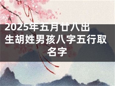 2025年五月廿八出生胡姓男孩八字五行取名字